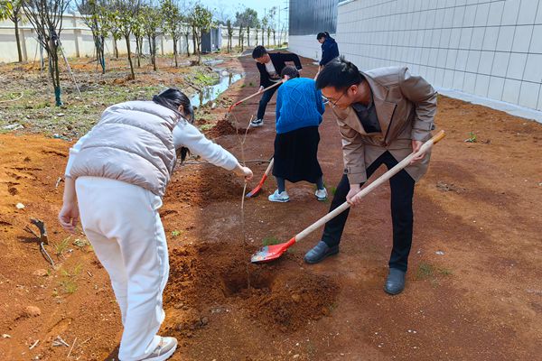 5鄂東養護片區(qū)植樹_副本.jpg